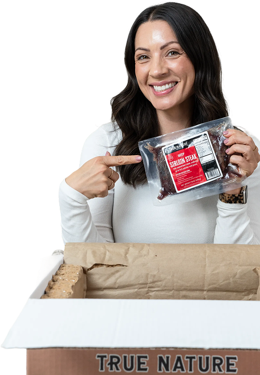 Ambassador Banner bg